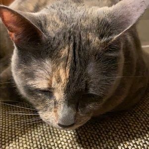 Meet your Posher, Tiffany